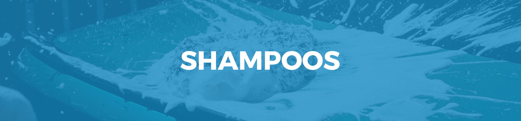 Collection of car wash shampoos and professional detailing soaps.