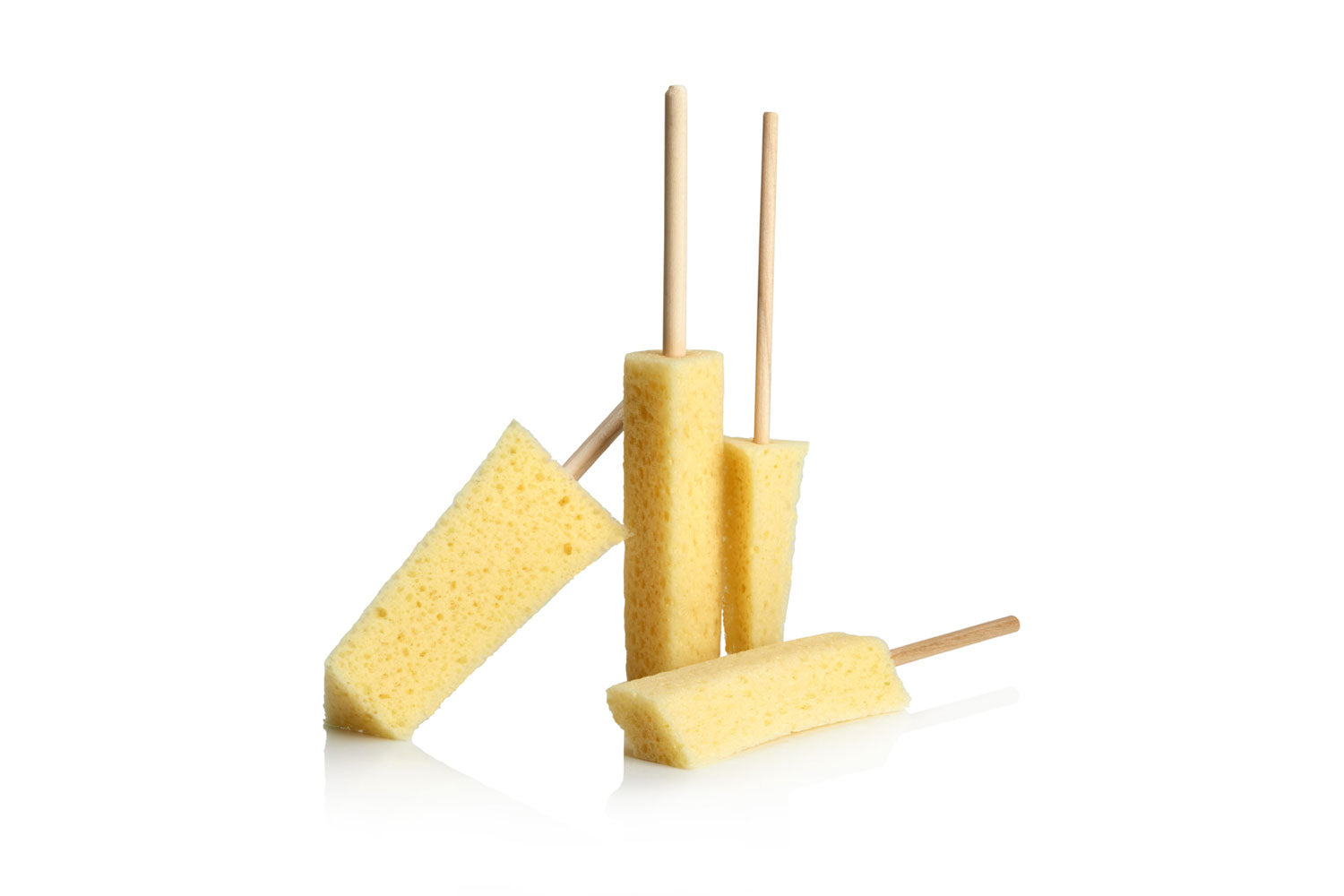 Sponge Guru - Precision Detailing Sponge Kit