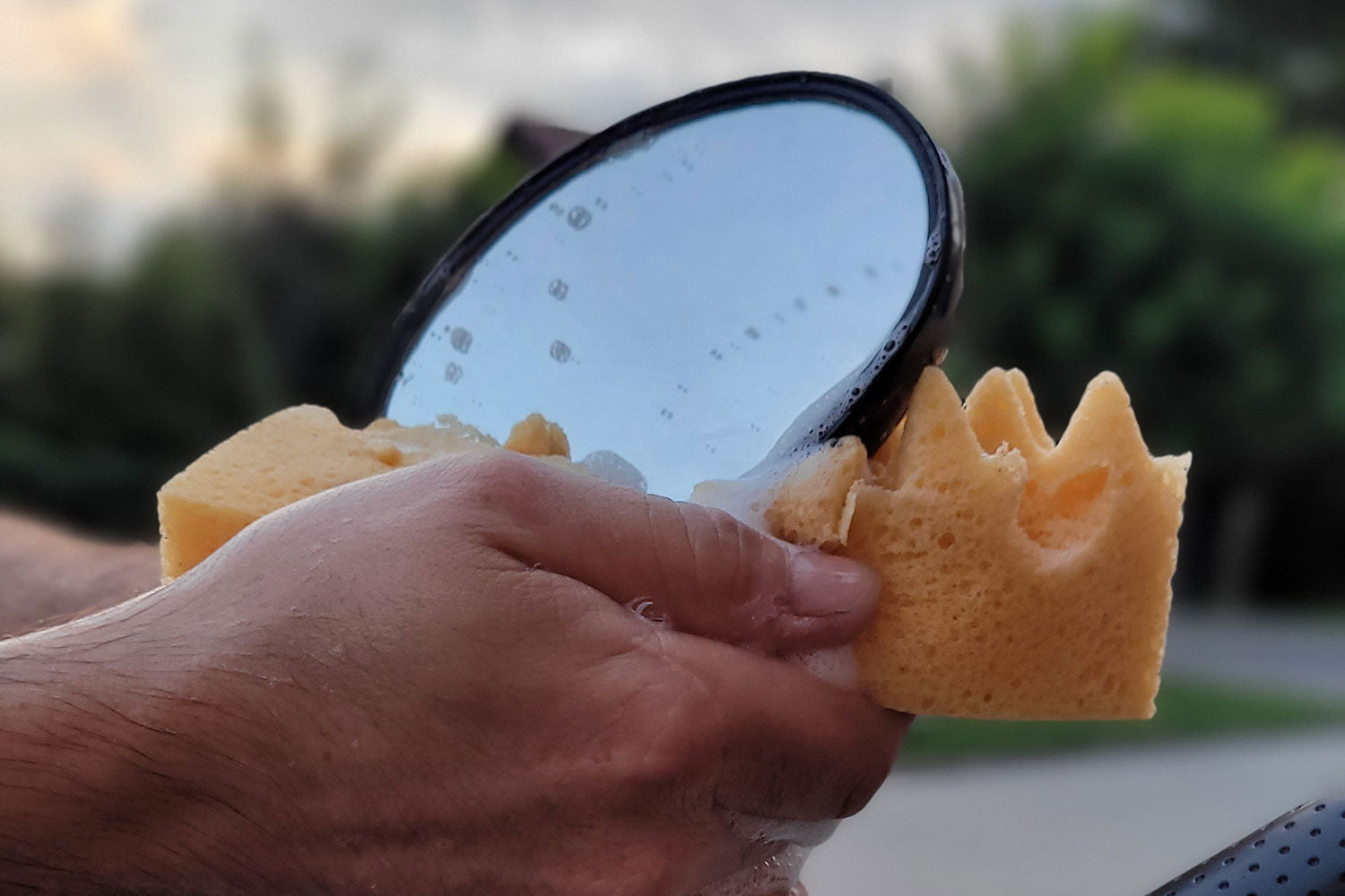 Sponge Guru - Ultimate Profile Sponge