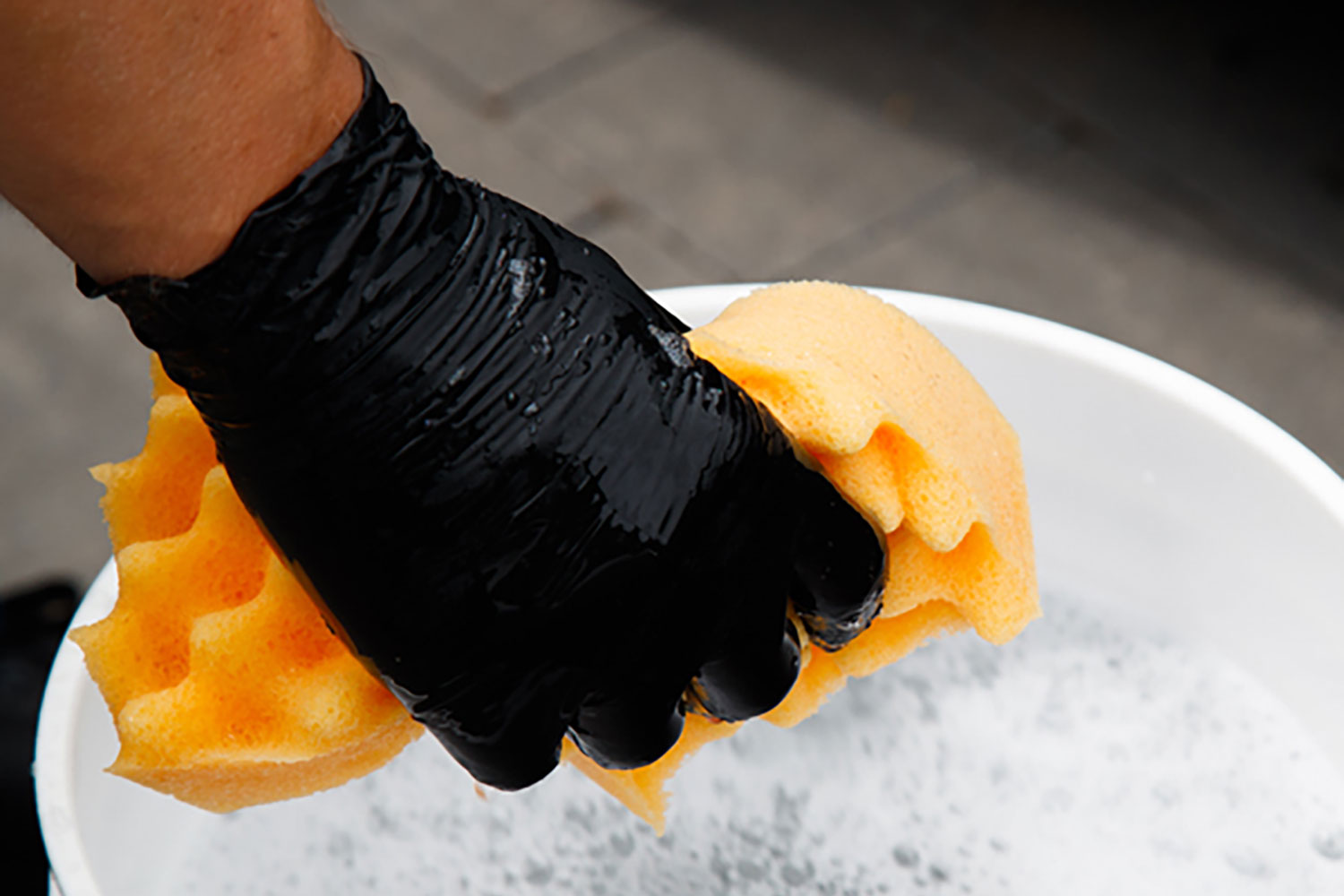 Sponge Guru - Ultimate Profile Sponge