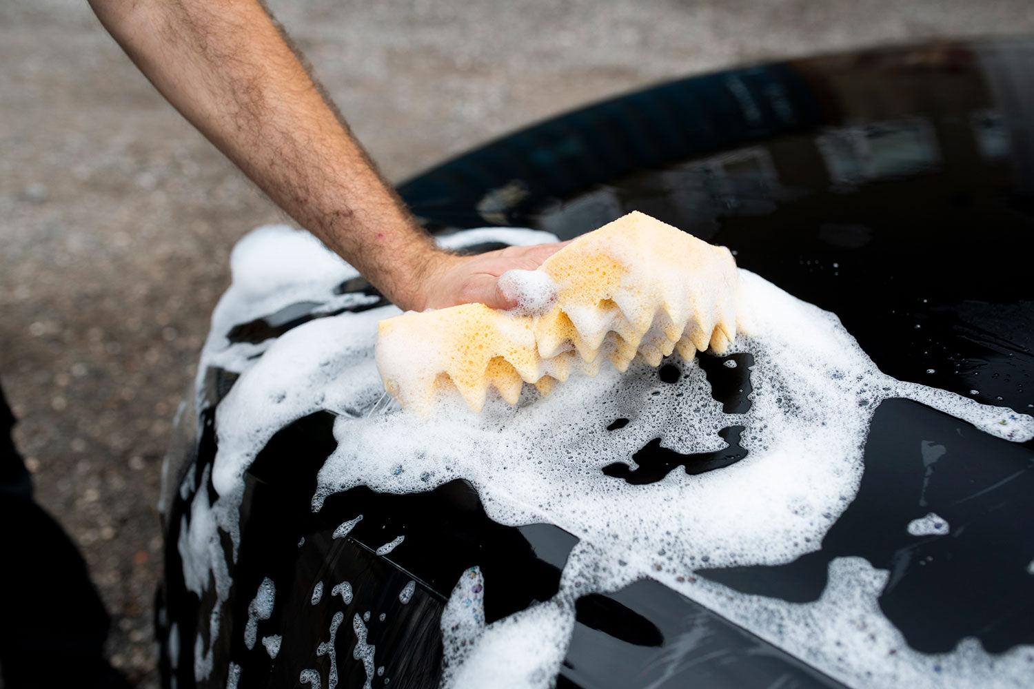 Sponge Guru - Ultimate Profile Sponge