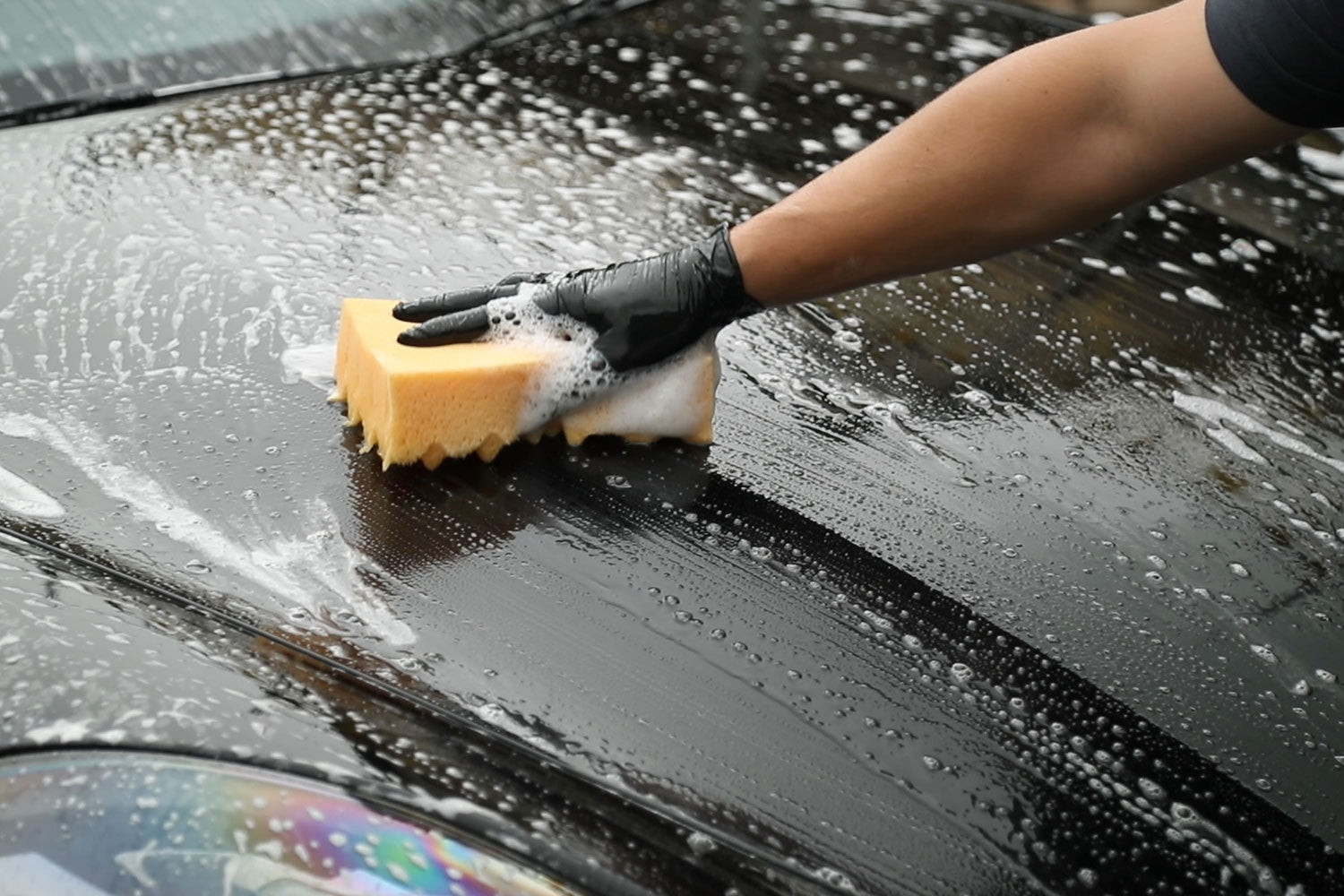 Sponge Guru - Ultimate Profile Sponge