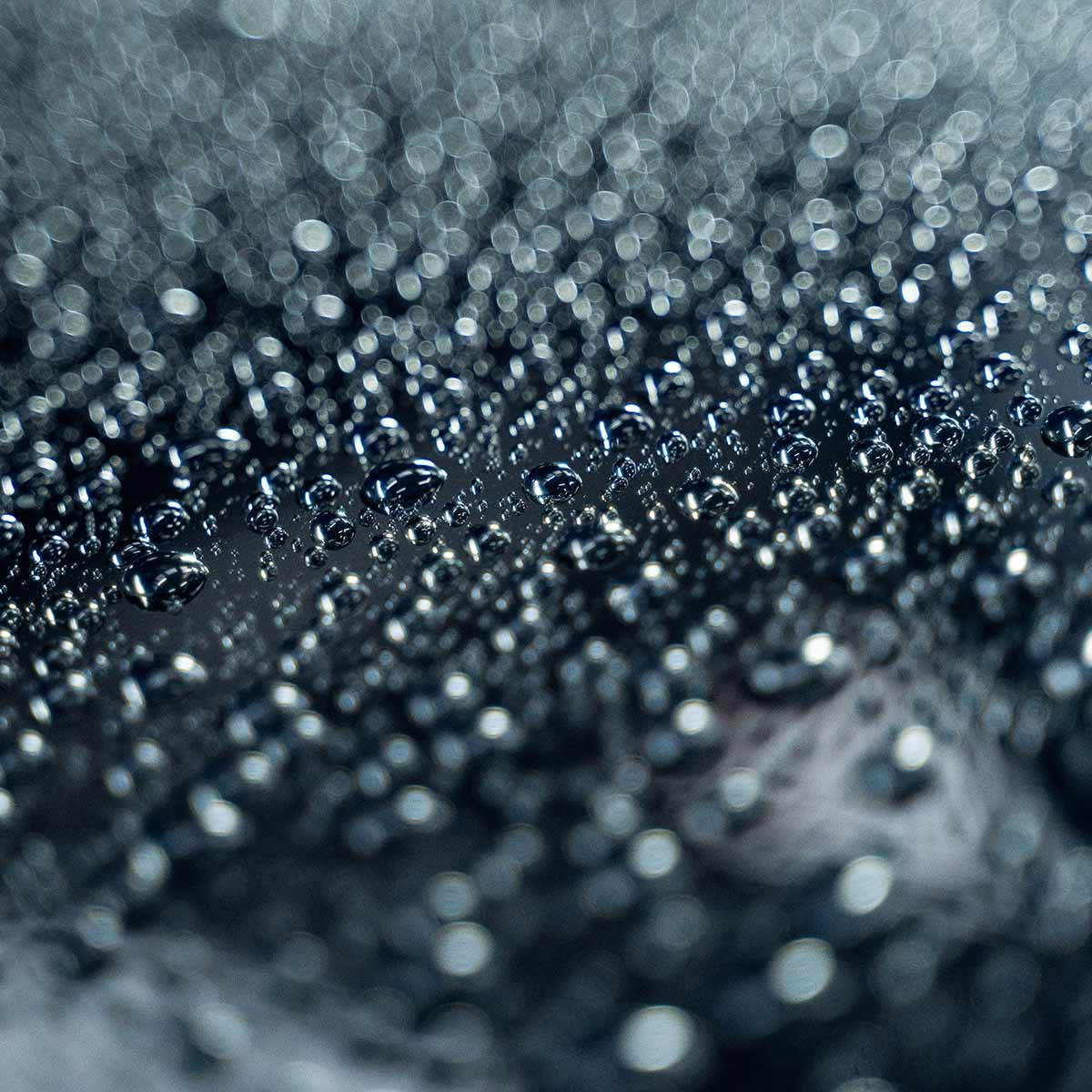 An extreme close-up of dense, uniform water beads on a dark, protected car surface after a wash with Labocosmetica Revitax.