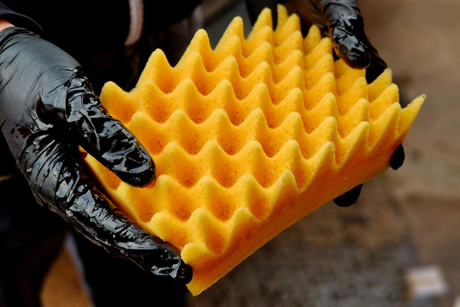 Sponge Guru - Ultimate Profile Sponge