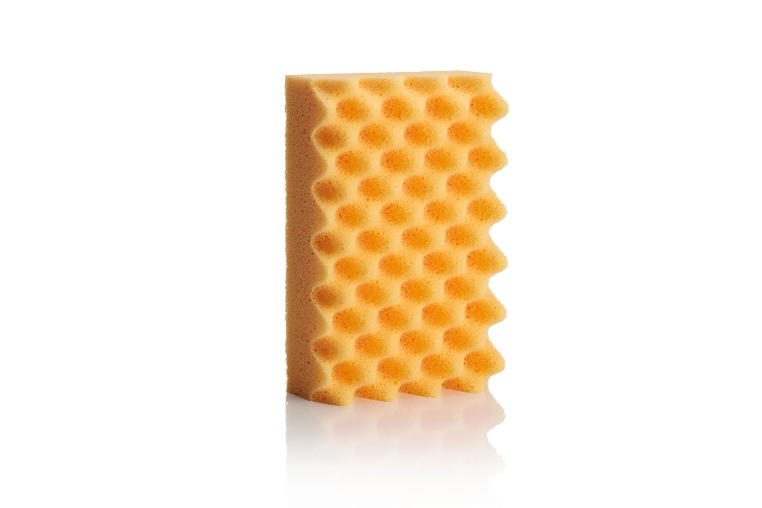 Sponge Guru - Ultimate Profile Sponge